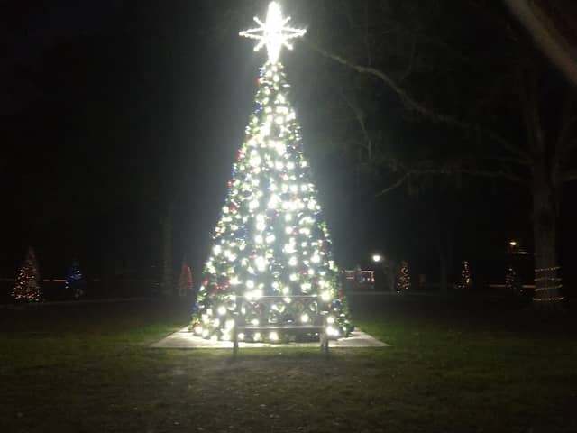 Town Hall Park - Image 1