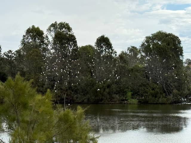 Lake Apex - Image 2