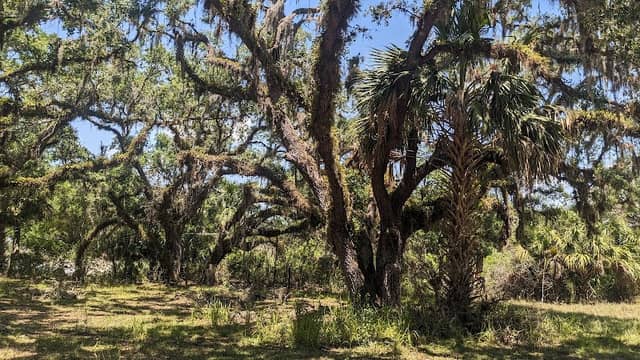 Kissimmee River Public Use Area - Pool C - Image 1
