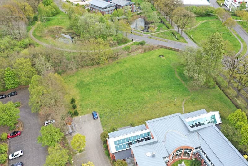 ImmerBunt Blühwiese VRG - Image 1