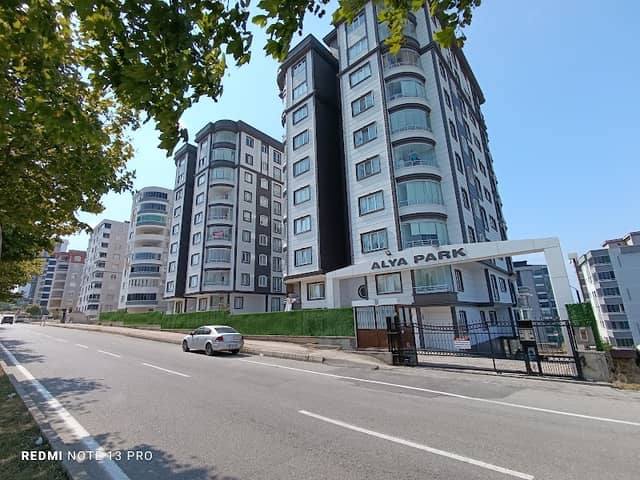 Alya Park - Image 1