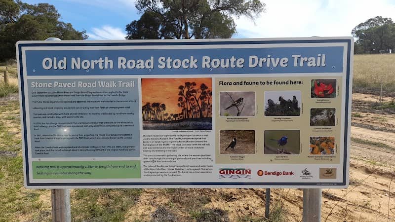 Old North Road Stock Route Drive Trail - Image 1