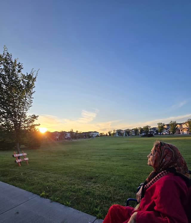 Sereda Park - Image 2