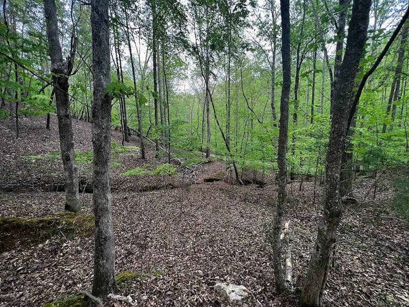 Bard's Bluff - Image 1