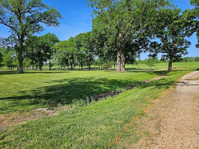 Forest Park - Image 2