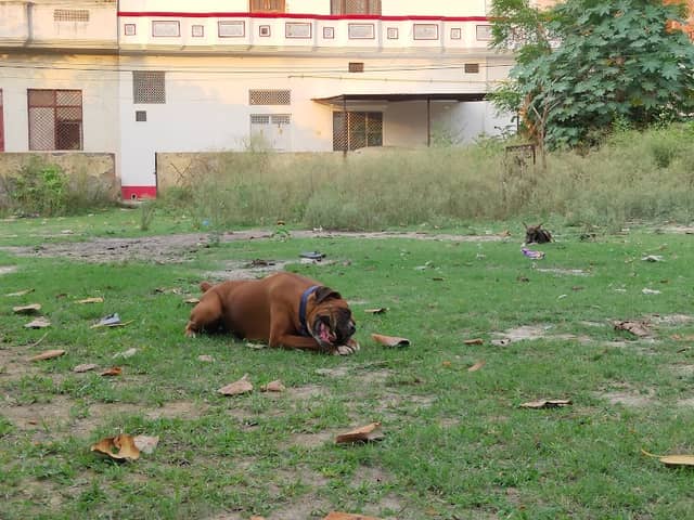 Bargada Park - Image 1