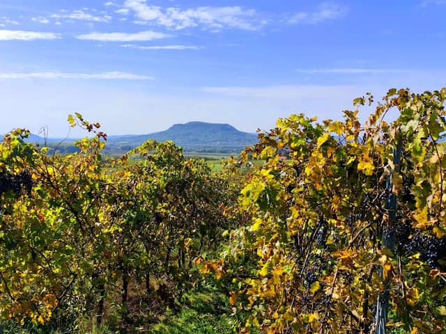View Point Káptalantóti - Image 1