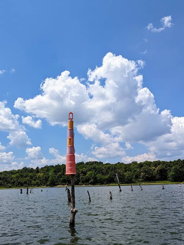 Smithville Lake Traffic Cone - Boat Lane - Image 2