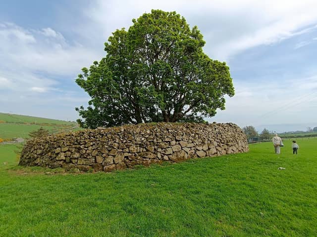 Altagore Cashel - Image 2