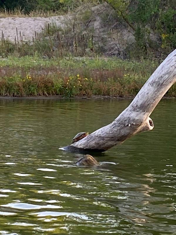 Fremont Lake Hangout - Image 2