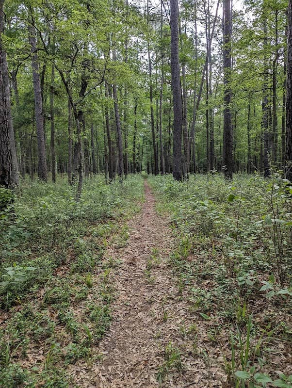 Sam Houston National Forest - Double Lake Recreation Area - Image 2