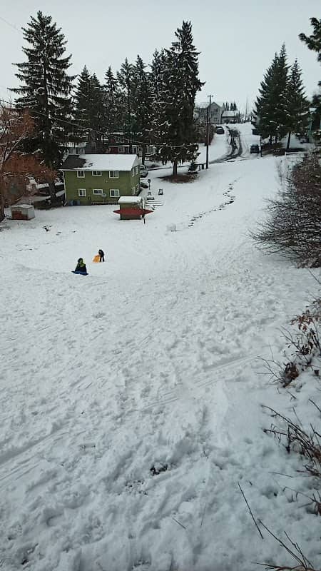 East E Street Sledding Hill - Image 1