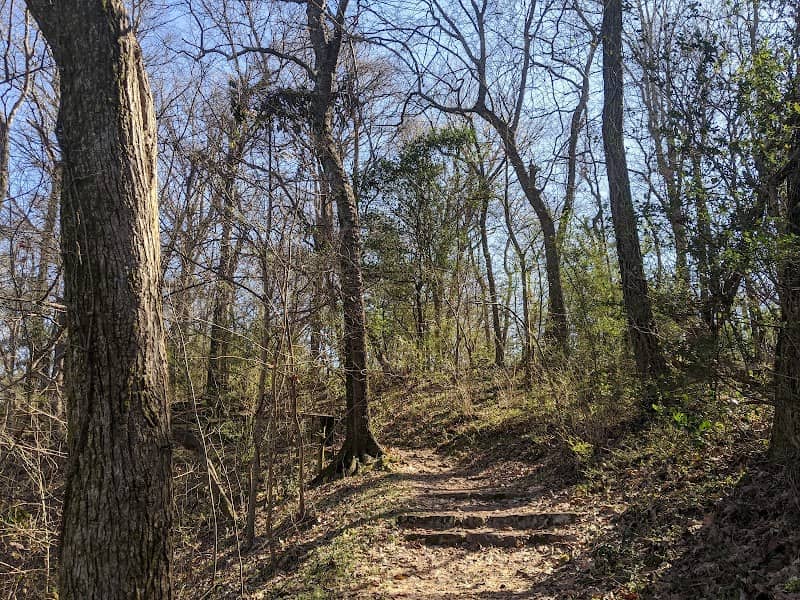 TVA Muscle Shoals Trails Complex - Image 3