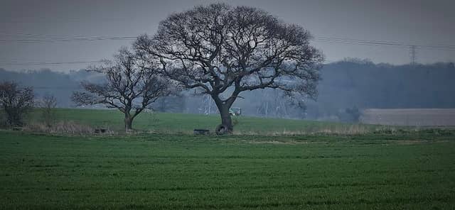 Wickham park - Image 2