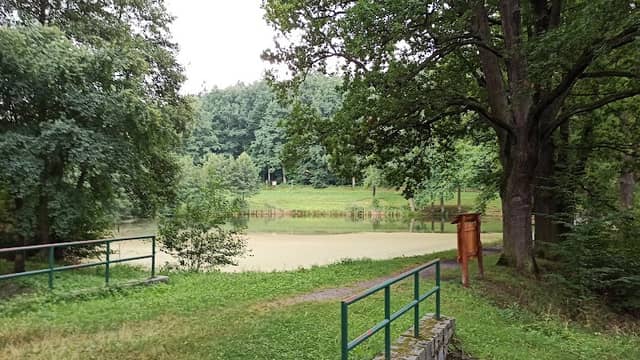 Rybník Tichávek - Image 1