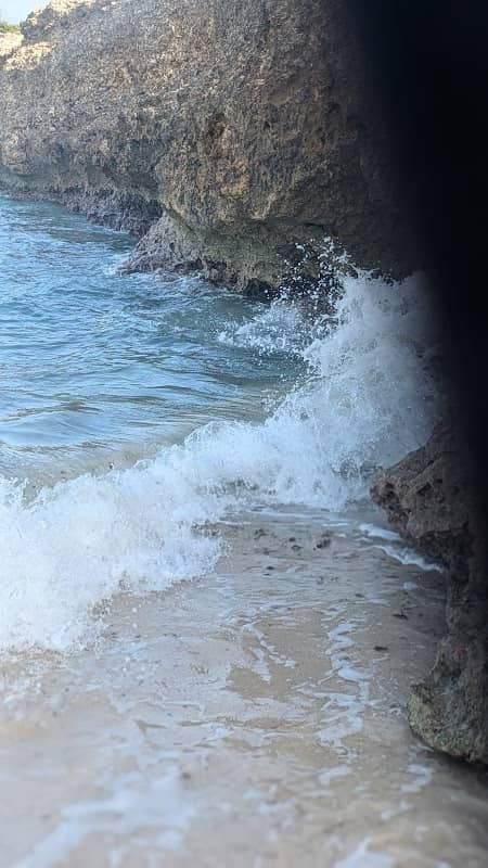 Pirate's Cove - Image 2