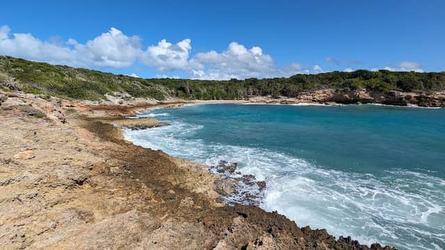 Pirate's Cove - Image 1