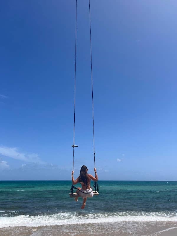 Giant Coconut Palm Swing - Playa El Cocal - Image 1