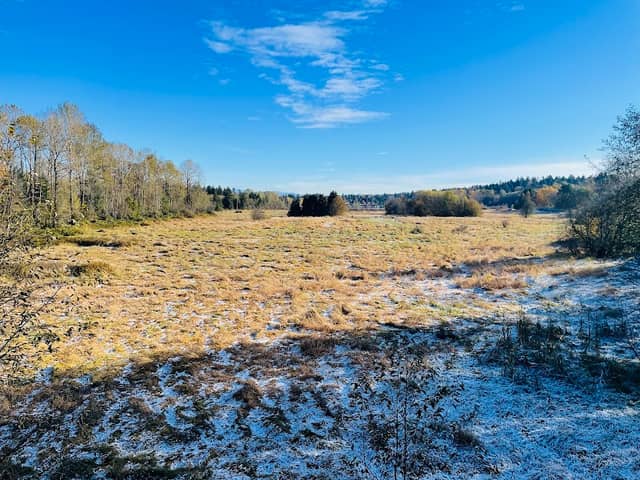 Deer Lake Trails - Image 1