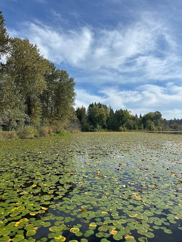 Deer Lake Trails - Image 3