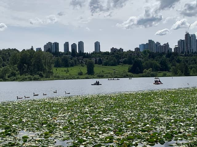 Deer Lake Trails - Image 2