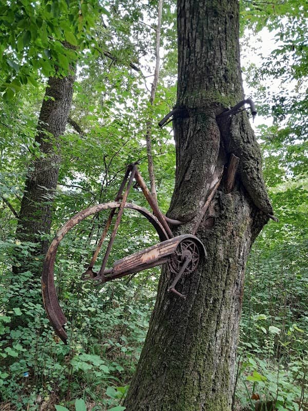 Bici nell’albero - Image 1