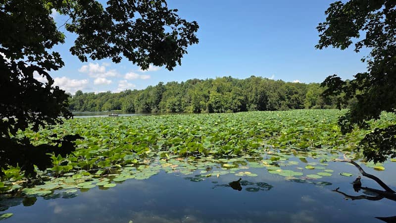 Lake View Trail - Trailhead - Image 1