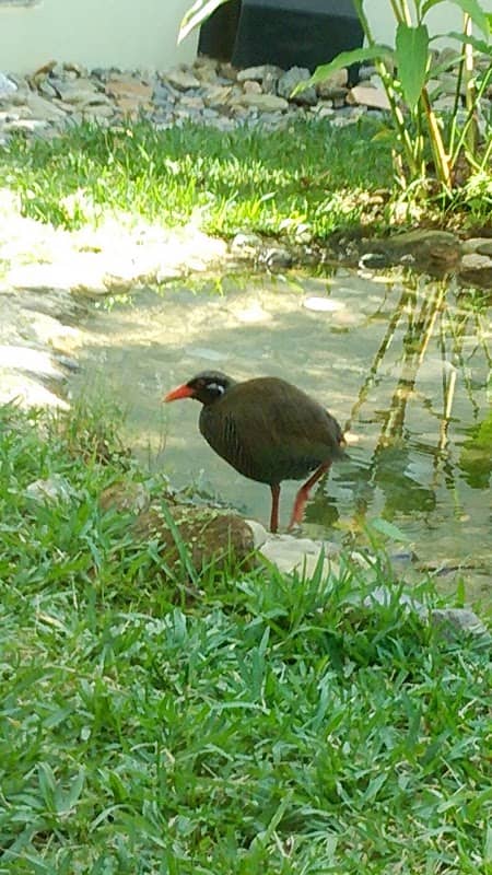 Ada Kuina Fureai Park - Image 2