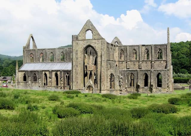 Tintern Abbey - Image 3