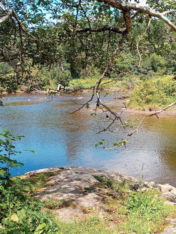 North Branch Nature Center - Image 2