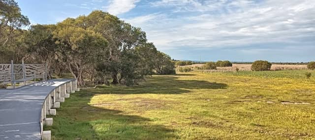 Skeet Memorial Park - Image 1
