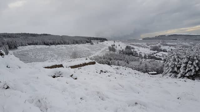 Marian Park - Image 1