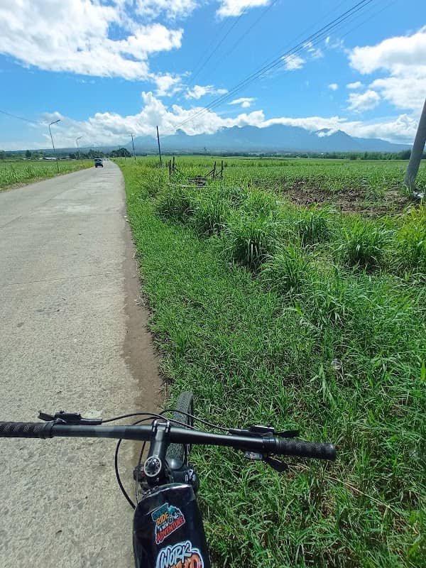 murcia negros occidental - Image 1