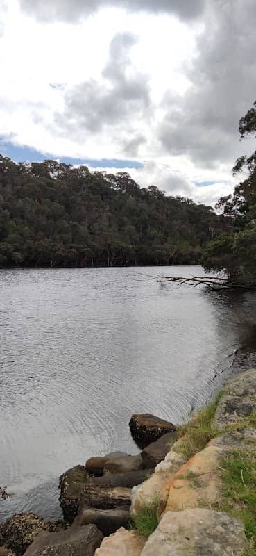Davidson Park to Stepping Stone Crossing walk - Image 1