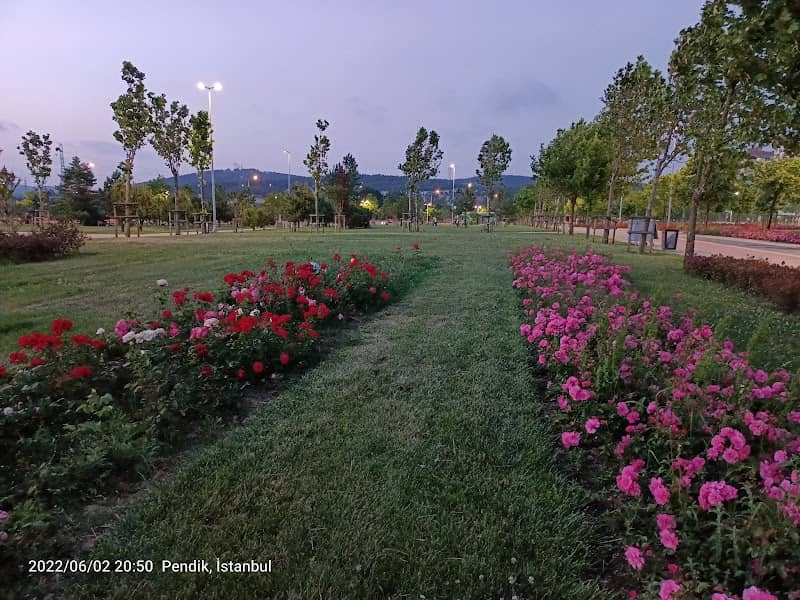 Kurtköy Şehir Parkı - Image 2