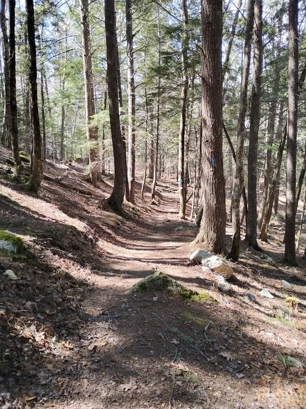 Indian Point Trail - Image 2
