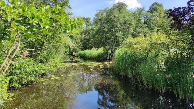Ankeveense Plassen - Image 1