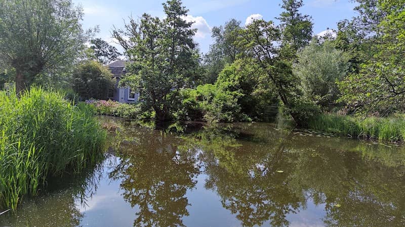 Ankeveense Plassen - Image 3