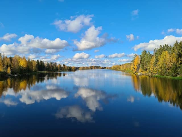 Säpilä Suspension Bridge - Image 2