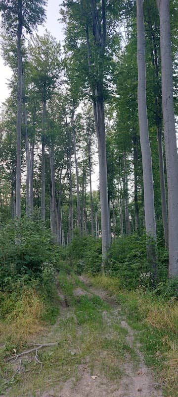 Dealul pătrăuți - Image 2