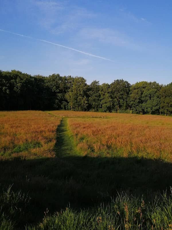 Lariks Park - Image 1
