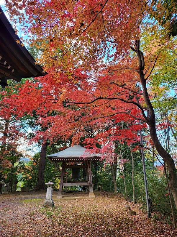 Yoshinosawa Park - Image 2