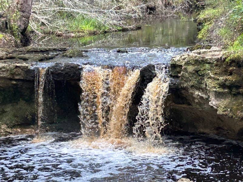 Falling Creek Falls - Image 1