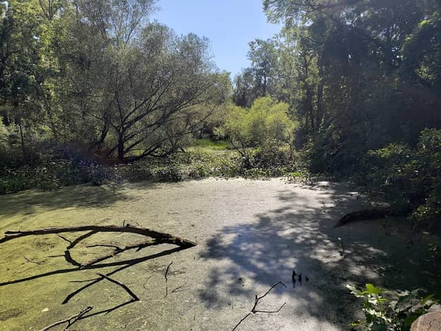 Jackson Field - Image 1