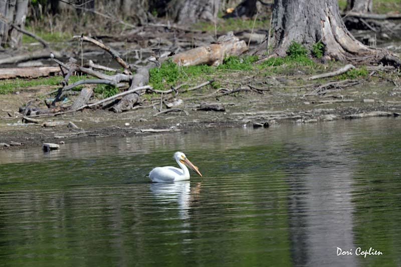 Riverfront Park - Image 2