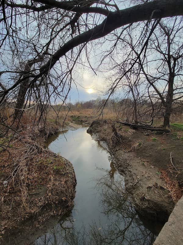 Wilcox Park - Image 2