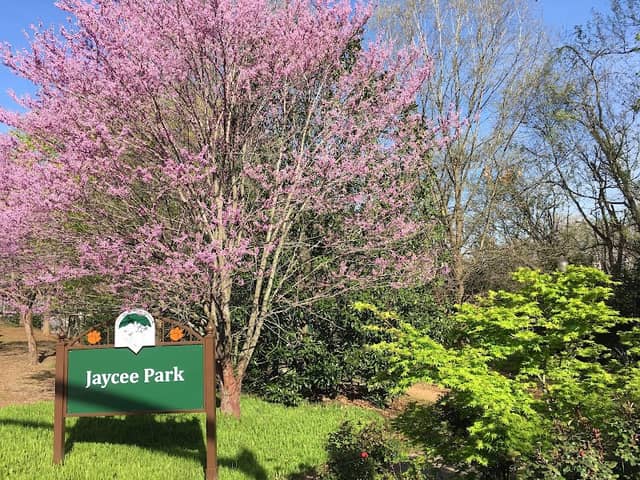 Jaycee Park - Image 1