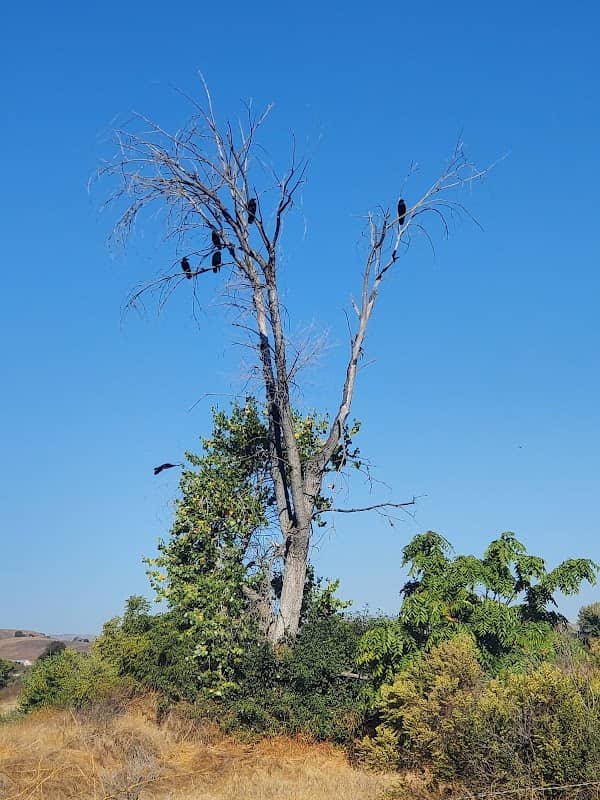 San Benito County River View Park - Image 1