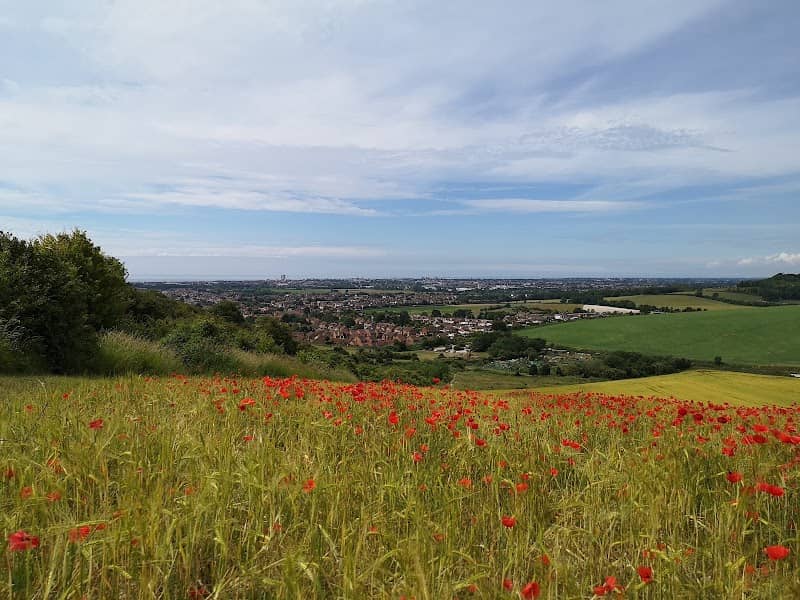 Halewick Park - Image 2