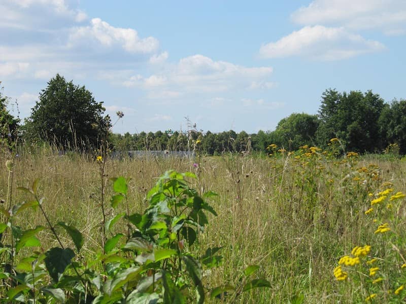 Flugplatzheide in Haunstetten - Image 1